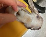 イカのポッポ煮作り方1写真