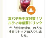 夏バテ熱中症対策！ソルティ赤紫蘇ドリンク作り方4写真