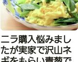 夏バテ防止❢ ニラ玉作り方7写真