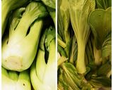 ~チンゲン菜生和え物~10分完成作り方2写真