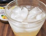 マーマレード＆ジャムで簡単スカッシュ☆作り方11写真