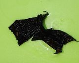 ベジート巻き 野菜のお寿司 コーン作り方4写真
