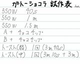 【試作】材料4つだけ　簡単ガトーショコラ作り方10写真