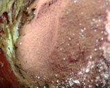 豪華●編みこみタルト台作り方7写真