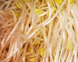 レンジ茹で4分～豆もやしナムル和え物作り方1写真