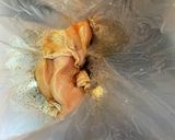 ダイエット用サラダチキン作り方2写真