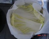 白菜と豚肉のミルフィーユ蒸し作り方1写真