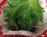 大量消費に♪さわやか青じそのグラニテ作り方1写真