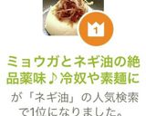 ミョウガとネギ油の絶品薬味♪冷奴や素麺に作り方10写真