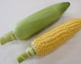 とうもろこし茹で方作り方1写真