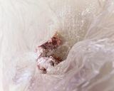 やみつき♪豚肉とナスのピリ辛炒め作り方3写真
