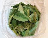 簡単！モロヘイヤのおひたし作り方1写真