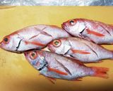脂がのって最高　ノドグロ煮付け作り方1写真