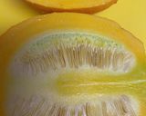 5分で出来る！コリンキーのサラダ作り方1写真