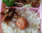 我が家のお弁当の詰め方作り方1写真