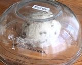 ザルを使って作るチョコナッツライ麦パン作り方9写真