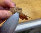 低糖質エビフライ作り方5写真