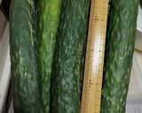 きゅうり冷製スープ作り方1写真
