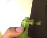 mレンジでおくらの和えもの作り方1写真