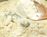 乾燥にんにくチップ/パウダーの作り方作り方9写真