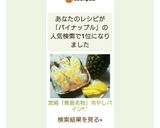 宮崎『青島名物』冷やしパインꕤ*.ﾟ作り方13写真