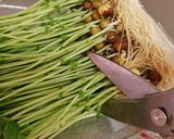 豆苗とミミガーのナムル作り方1写真
