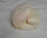 はちみつレモンな食パン作り方6写真