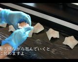 【簡単な包み方】シュウマイの作り方作り方12写真