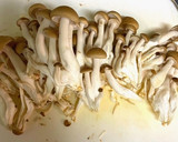 たっぷりきのこと豚肉と玉ねぎの中華炒め作り方6写真
