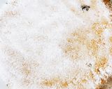 ぬか床の作り方〜(^○^) ぬか漬け作り方13写真