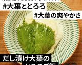 とろろご飯 明太子がつんとレモンソース作り方4写真