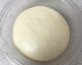 ヨーグルトと麹の酵母作り方9写真