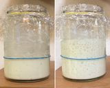 ヨーグルトと麹の酵母作り方13写真