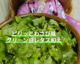 リカちゃん♡わさび味グリーン豆レタス和え作り方18写真