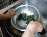 わかめのおひたし作り方2写真