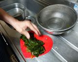 わかめのおひたし作り方9写真