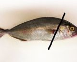 初心者が初めて捌く、カンパチの下処理方法作り方3写真