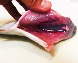 初心者が初めて捌く、カンパチの下処理方法作り方4写真