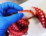 簡単！タコのカルパッチョ作り方1写真
