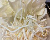 ちゃんぽん作り方1写真