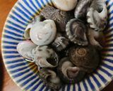 ながらみのおつまみ★鴨川の漁師さん直伝♪作り方6写真