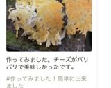 材料２つ！しらすのパリパリチーズ。作り方7写真