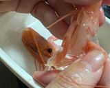 甘えびのどんぶり作り方3写真