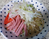 千切りネギをトッピングしてみた冷やし中華作り方3写真