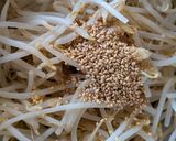 簡単ビビンバ丼作り方5写真