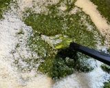 バジルソース2021ジェノベーゼパスタ作り方18写真