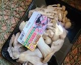 秋鮭のコロコロコロッケ作り方3写真