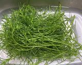 美味しいよ！おかひじきのペペロンチーノ風作り方1写真