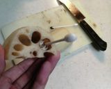 れんこんの浅漬けゴマ風味作り方3写真