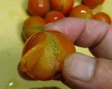 ミニトマトの皮むき作り方3写真